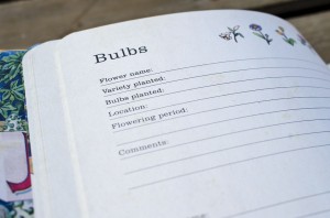 Bulbs Entry Page