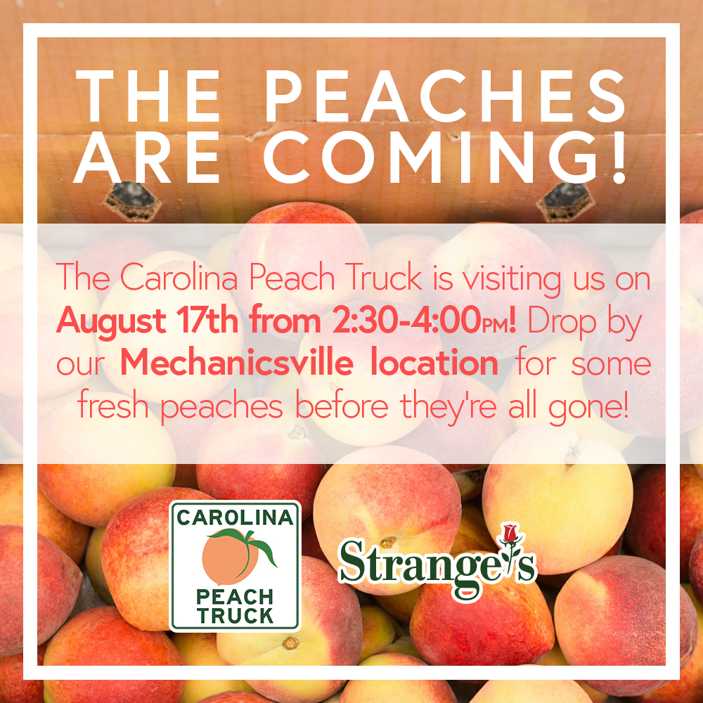 Carolina Peach Truck Visit → Mechanicsville Strange's Florists