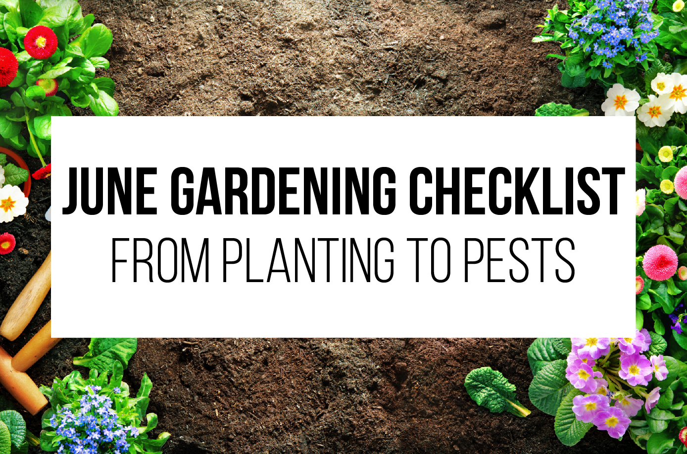 June Gardening Checklist