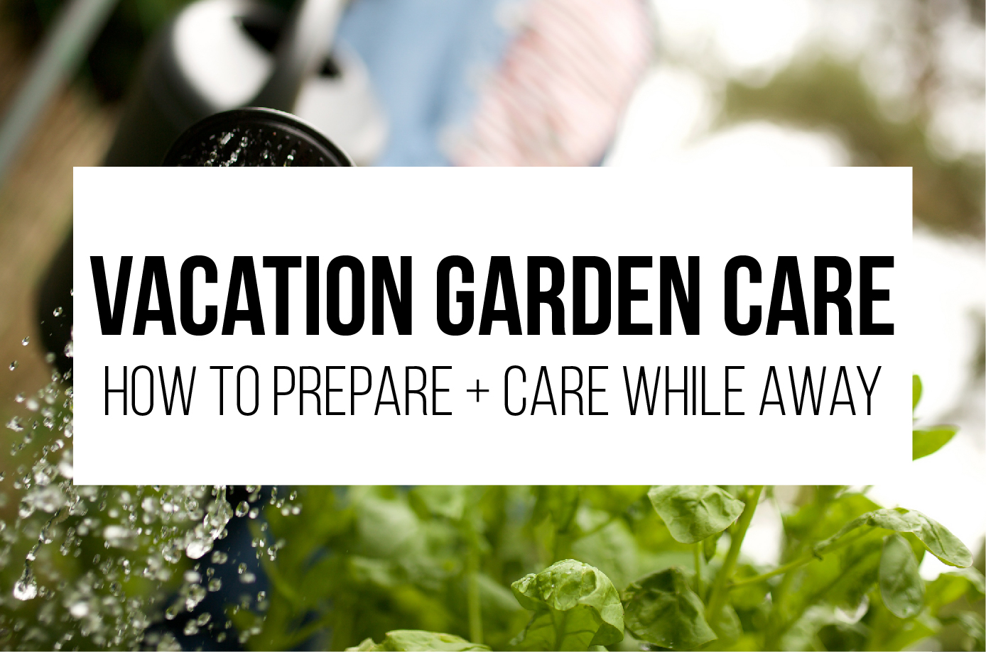 Vacation Garden Care: How to Prepare + Care While Away