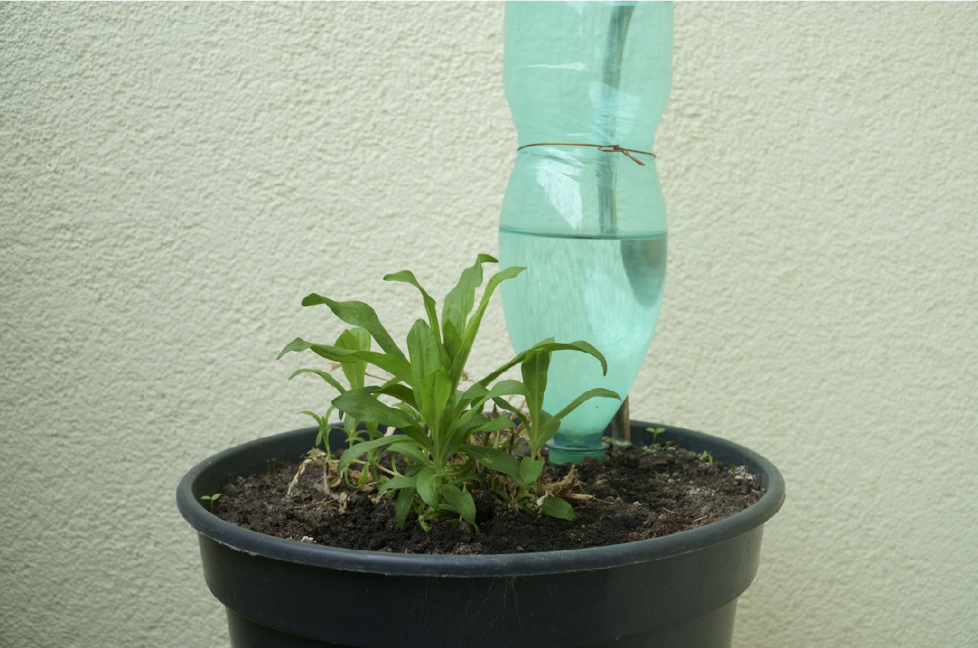 DIY watering tools